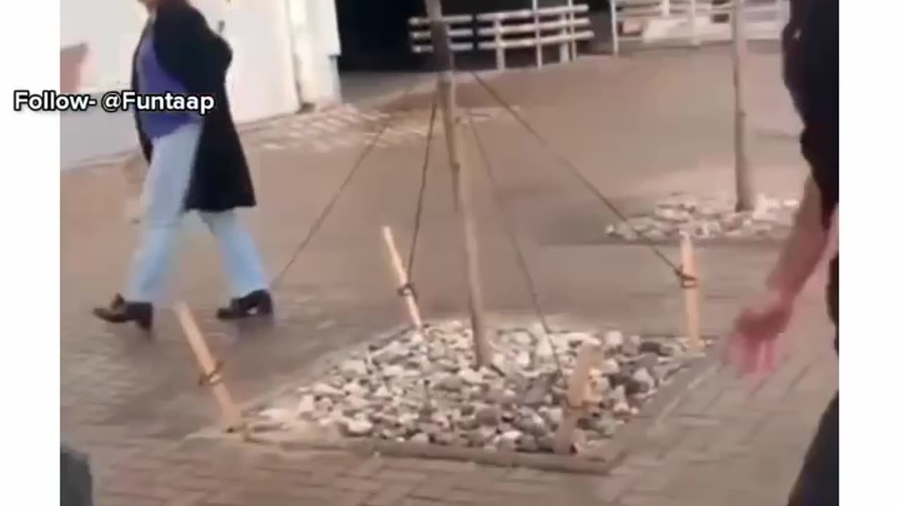 Funny videos