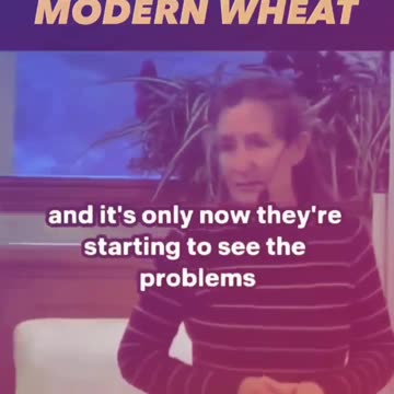 Wheat changed in the 1950 caused multiple health problems.