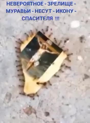 🙏🙏🙏🙏 From the broken house in Makeyevka where all the residents died,