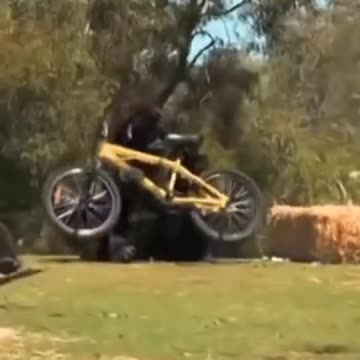 The monkey 🐒 baysciyal