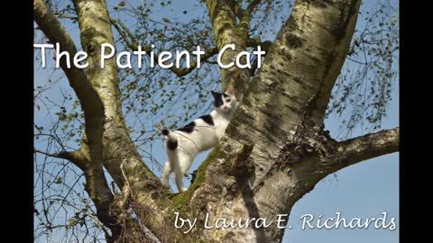 "The Patient Cat" - Fable by Laura E. Richards