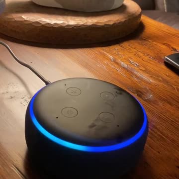 Alexa Echo Says What???