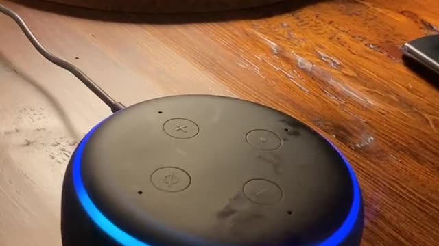 Alexa Echo Says What???