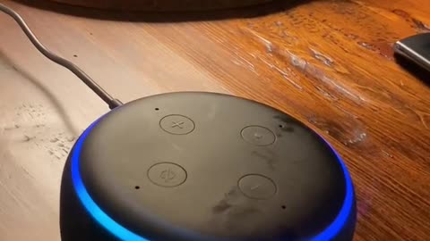 Alexa Echo Says What???