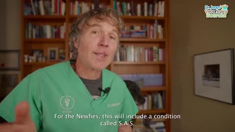 Mirror| Veterinary Secrets|From Accidents to Illness|Top 10 Reasons Why Dogs Die