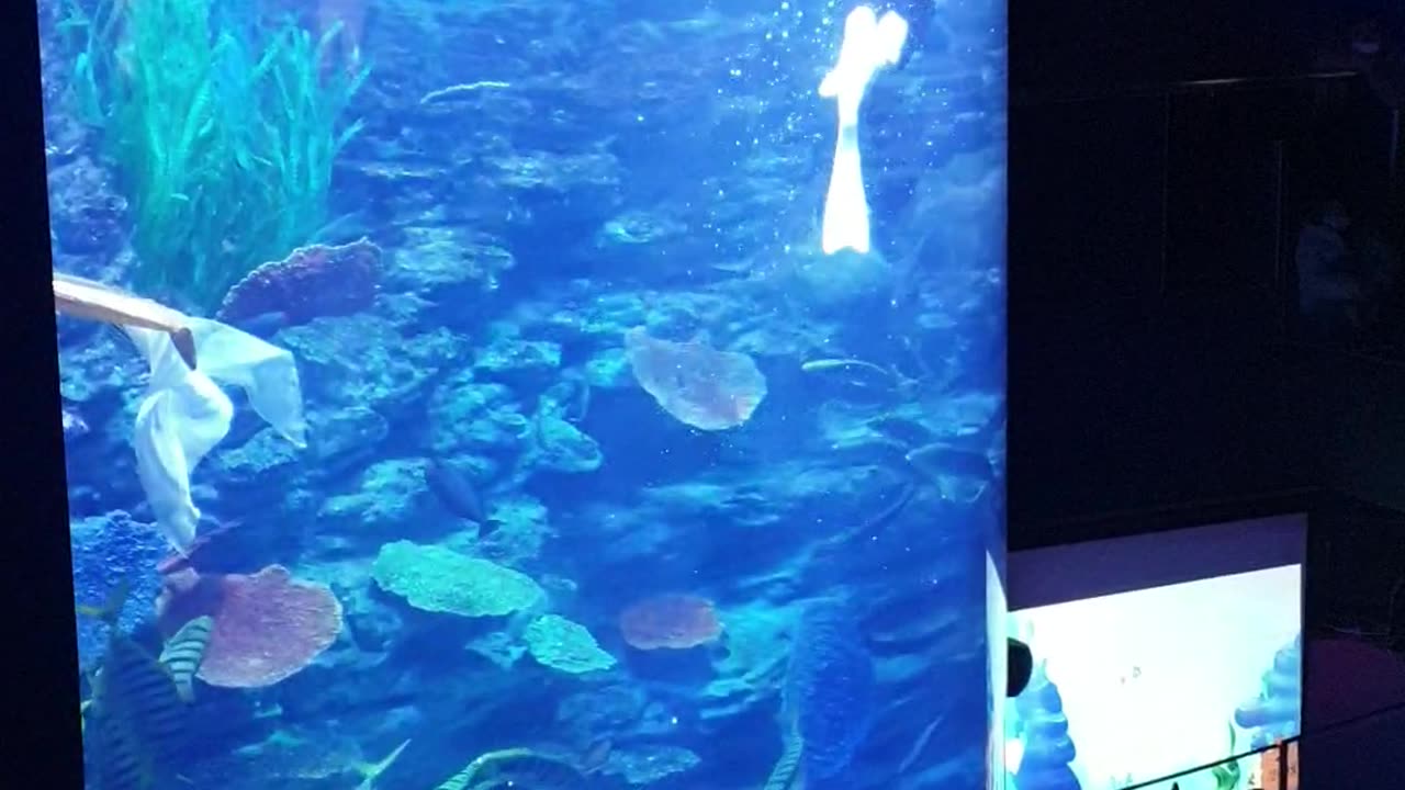 Aquarium