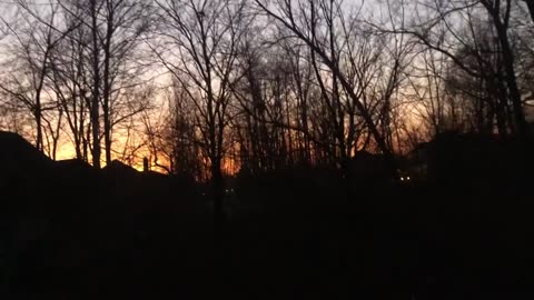 March 5, 2023 - 6:47 AM Sunday from My Deck