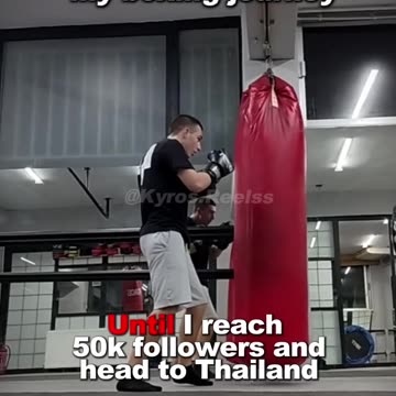 Boxing Journey:Day 4