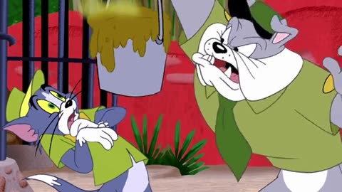 Tom and Jerry cartoon