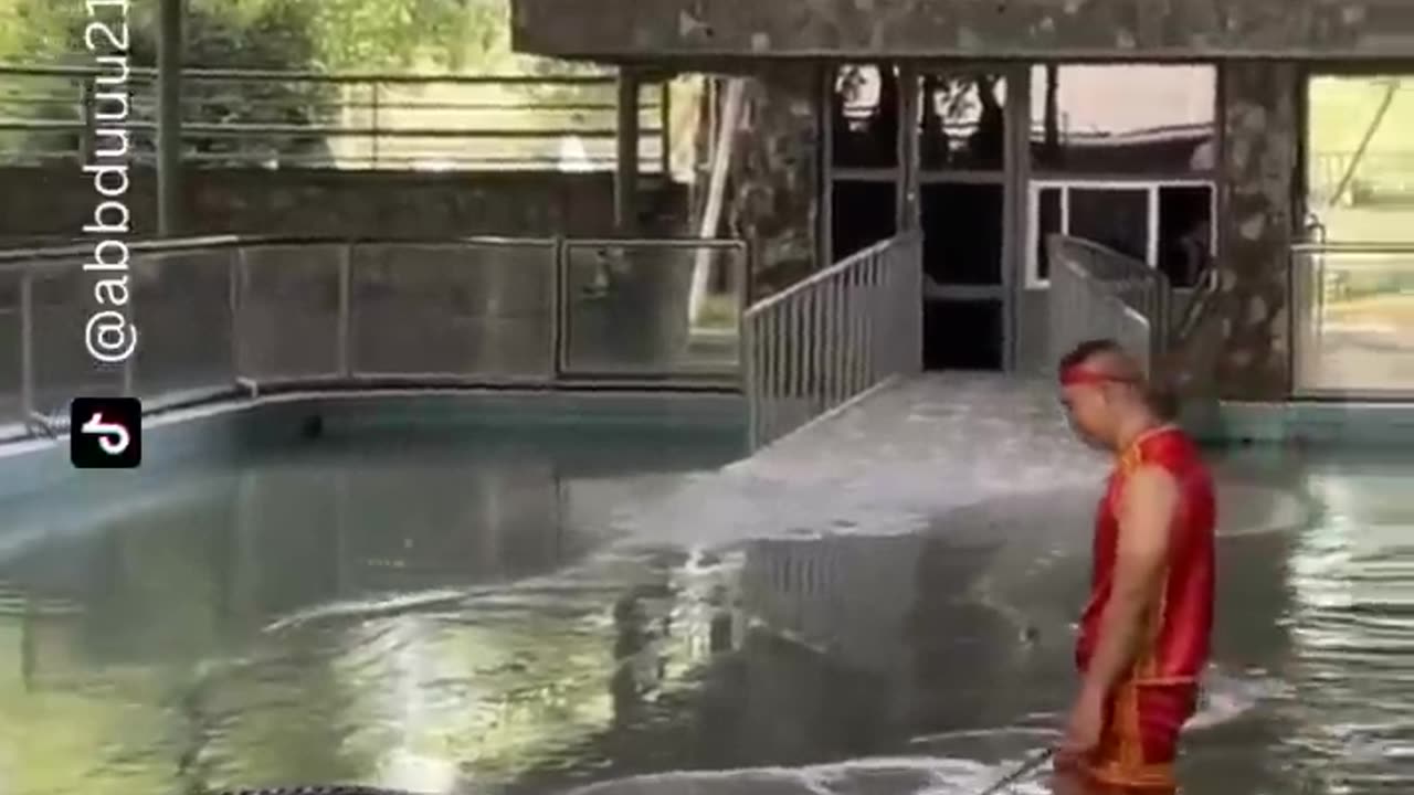 Laugh till You Drop
