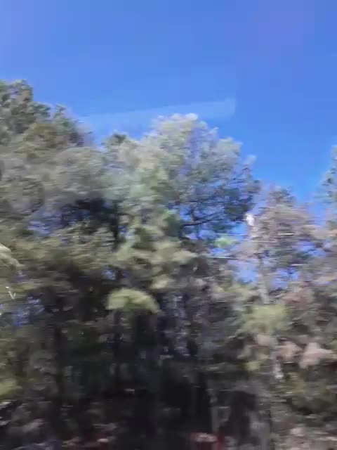 Welcome to the South, now go home!