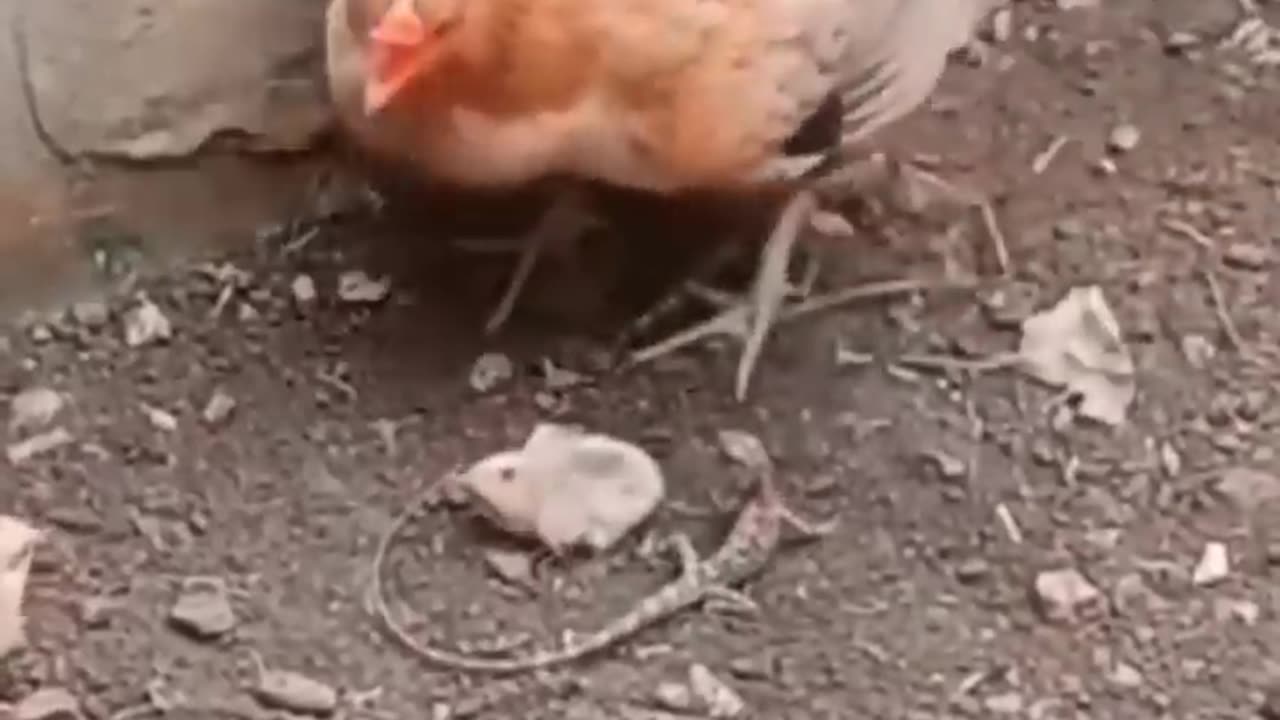 MOM THE Real protector ...
