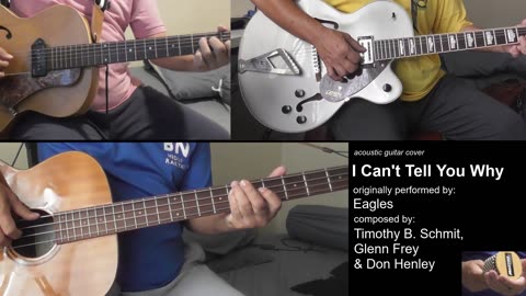 Guitar Learning Journey: "I Can't Tell You Why" cover - vocals