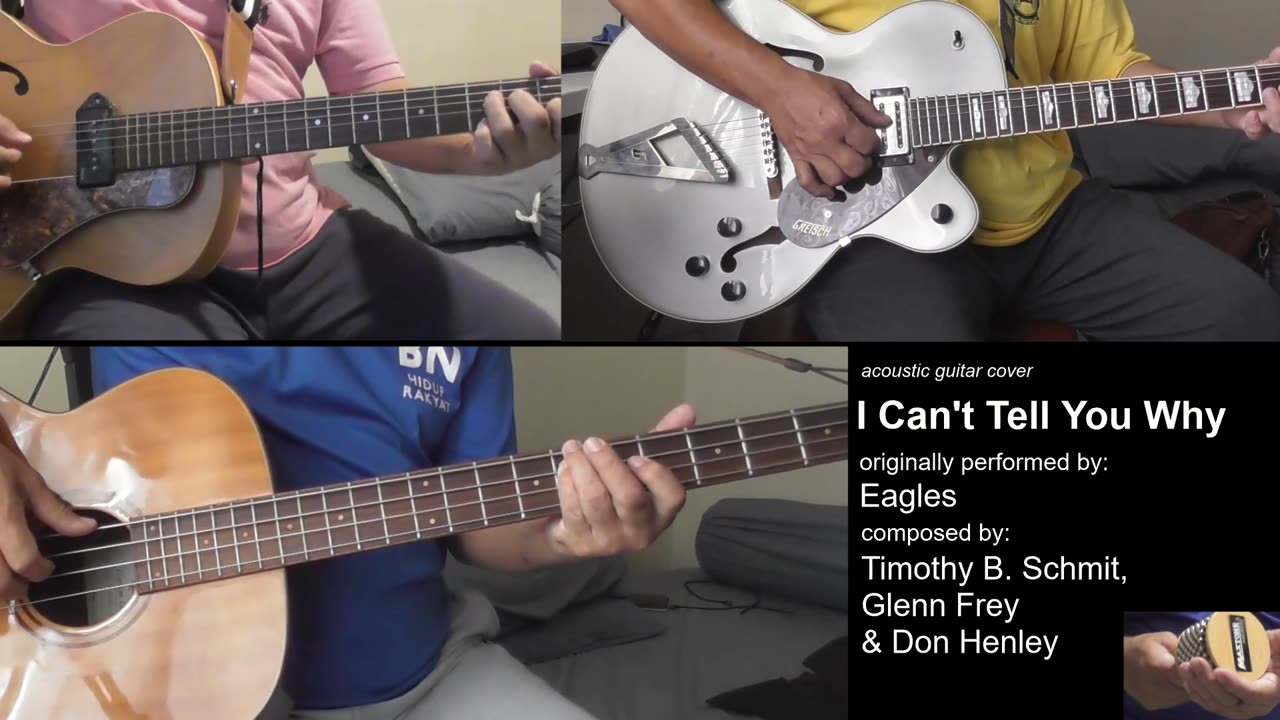 Guitar Learning Journey: "I Can't Tell You Why" cover - vocals