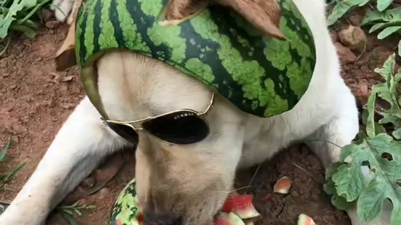 Very handsome farmer😍
