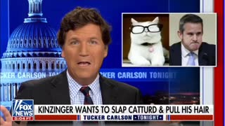 Tucker Carlson roasting Adam Kinzinger for threatening Catturd