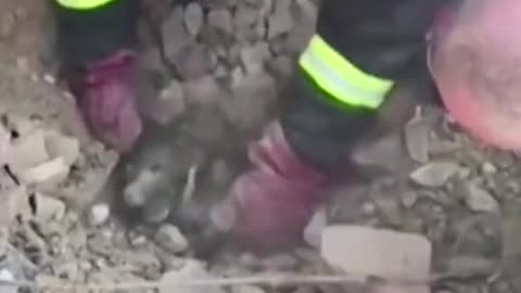 Ukrainian rescuers save puppy trapped under rubble
