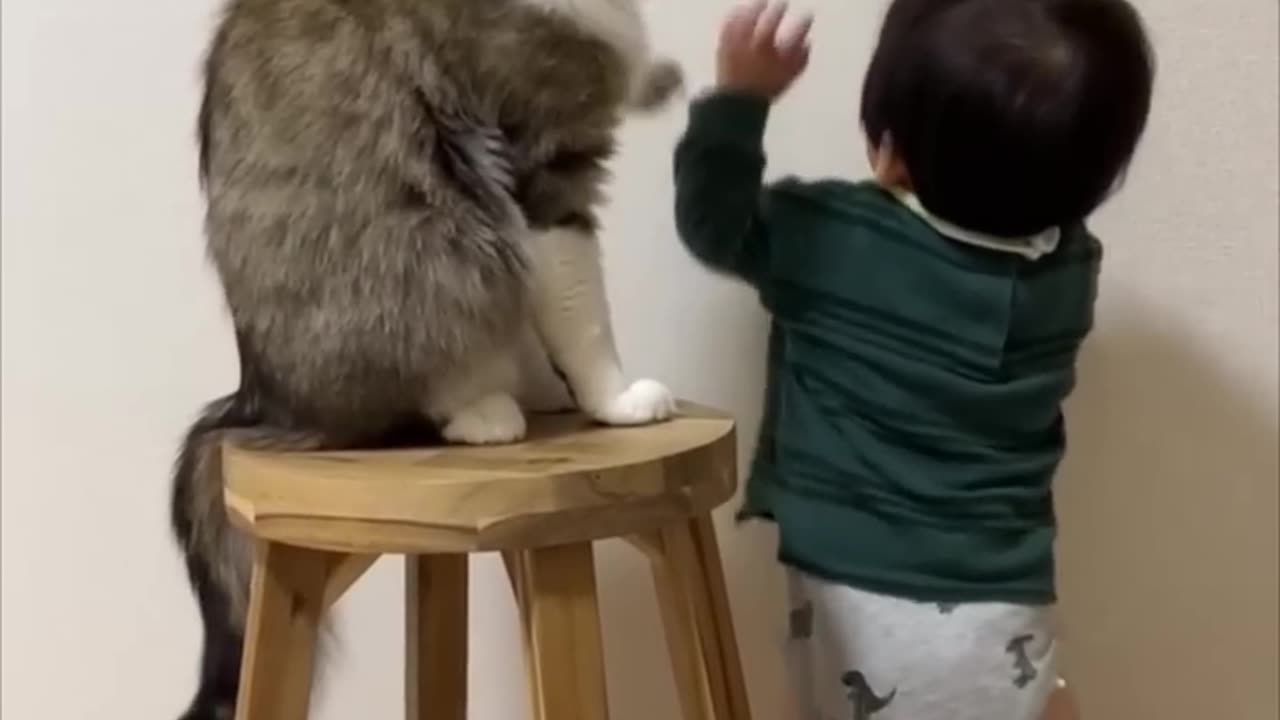 Cat Blocks Little Boy's Door Opening Attempts