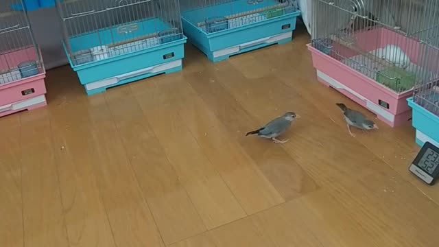 待たせてしまったんだね