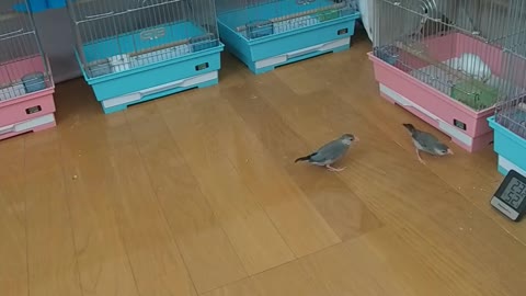 待たせてしまったんだね