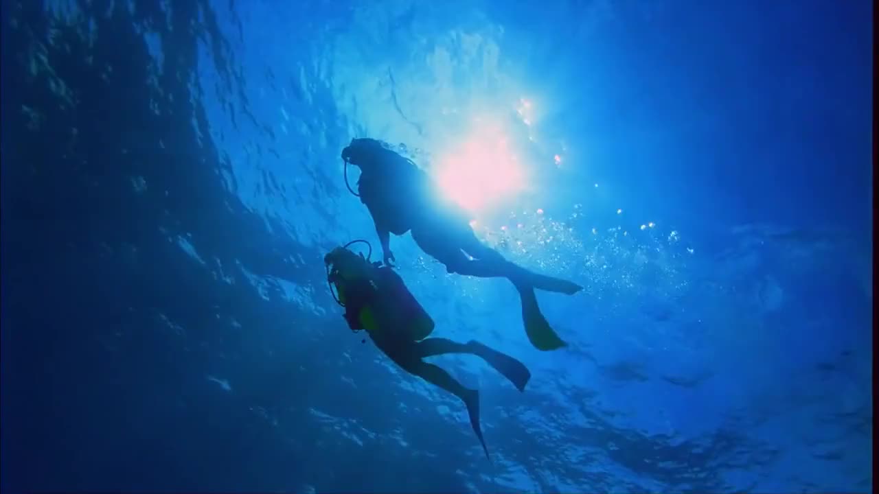 A couple diving off a boat into clear waters