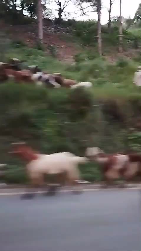 Trip to Pakistan 2024-35