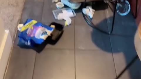 Who thinks Franklin is guilty