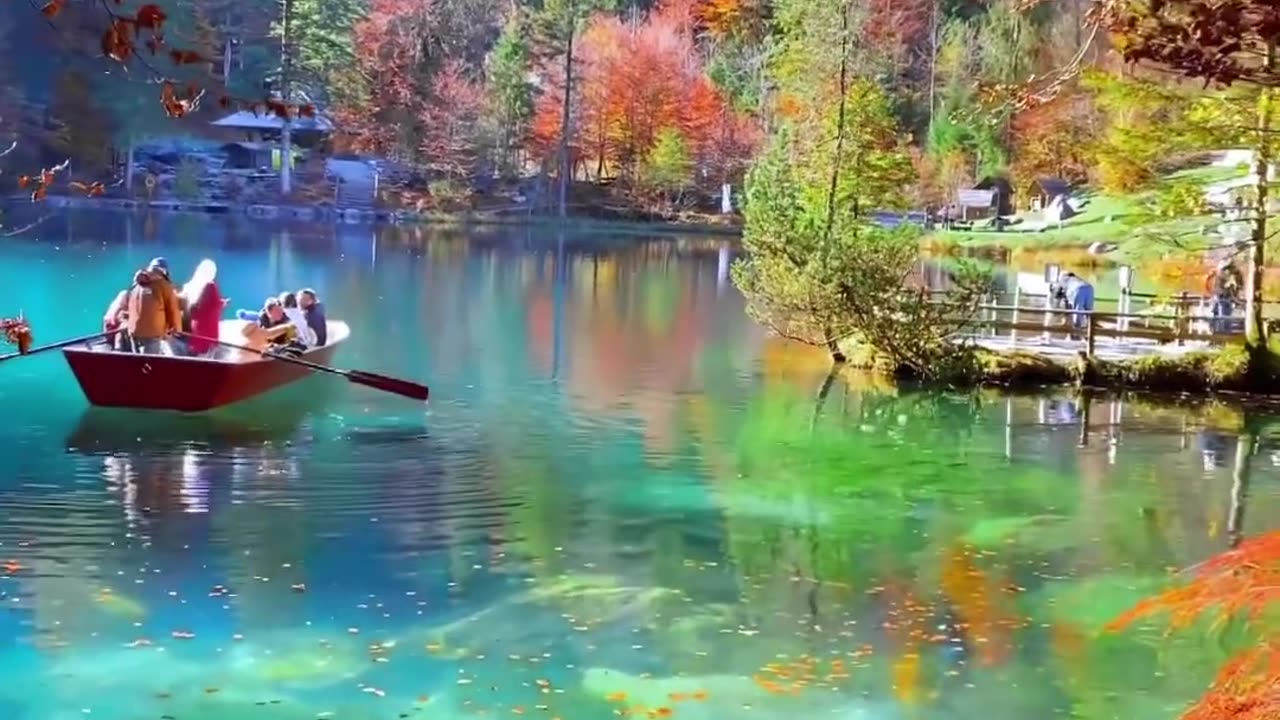 So happy to see nature as beautiful as this