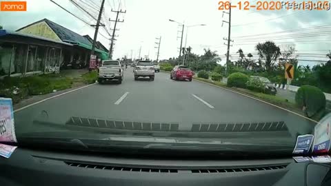 Small Snake Slithers Across Driver's Dash