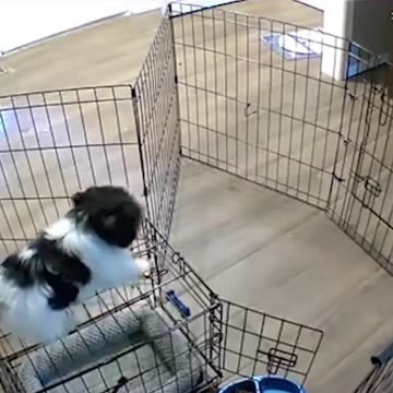 Anti-Loosh Video Number 264. LOOSH is real and bad. Explained below and watch the video