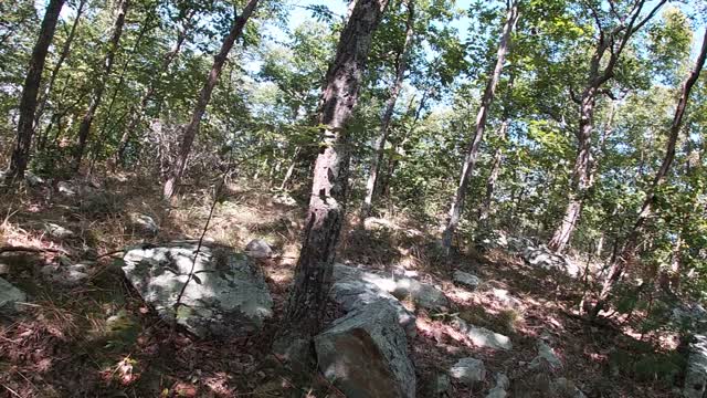 Rattlesnake Mountain, New Jersey