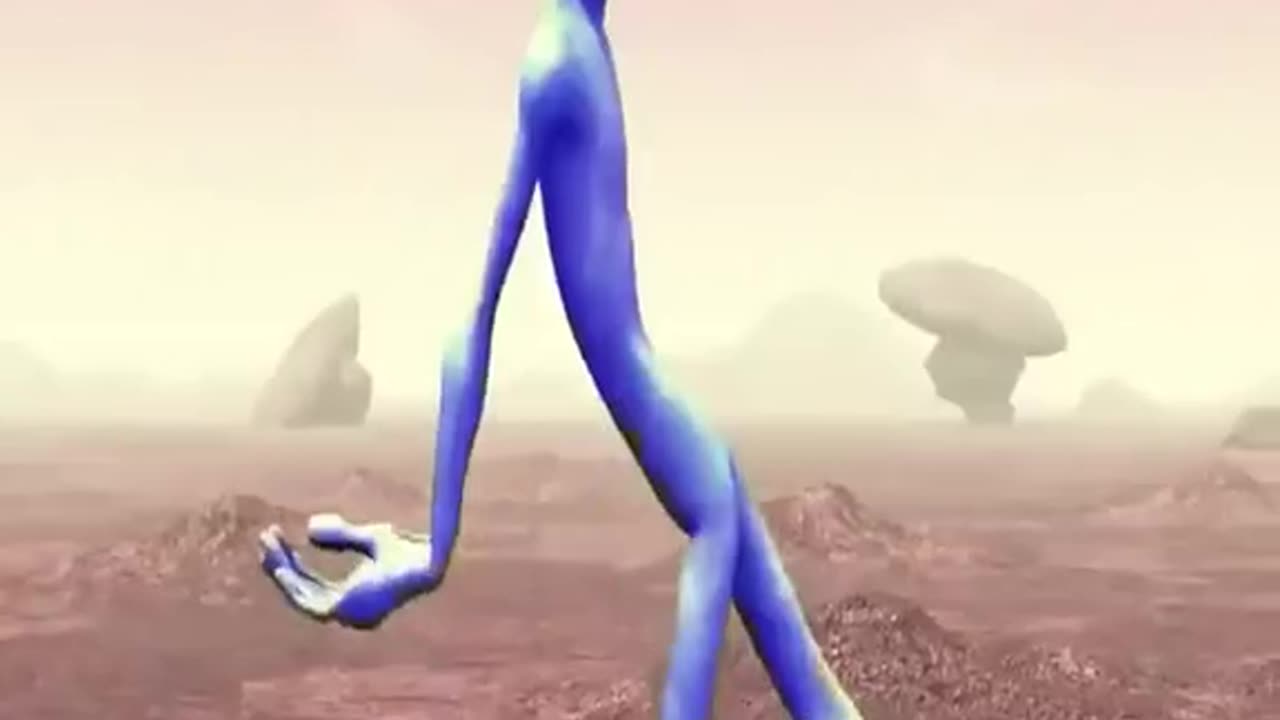 Funny video
