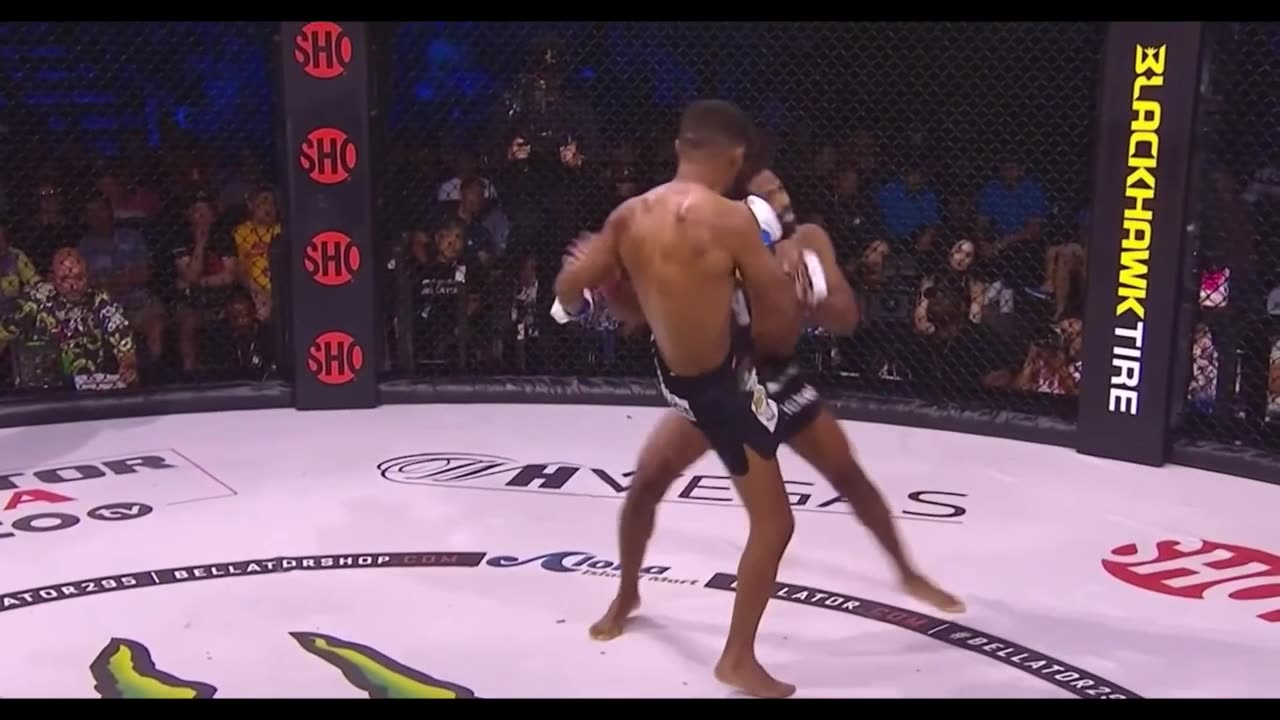 Best ufc knockauts