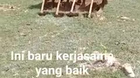 Team work
