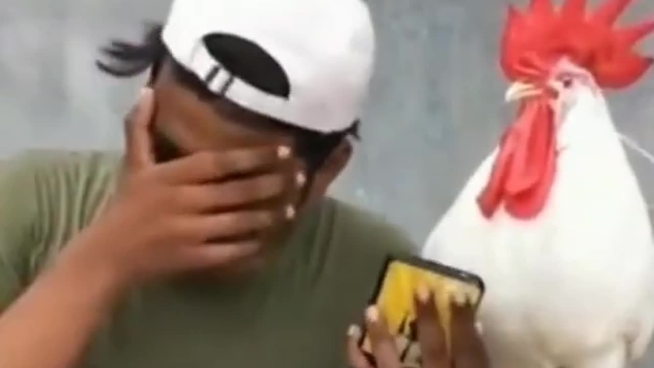 #1 New TikTok Best TikTok Funny Comedy 😂😂 Videos | @SAJJADAMEEN101 | tiktok video | funny video