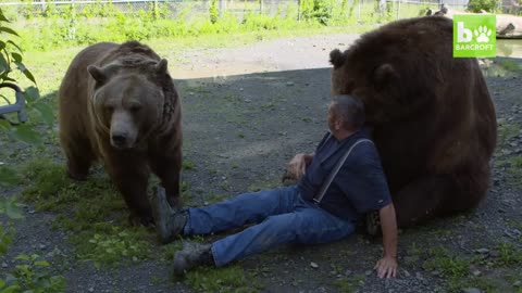 Our Big Bear Family