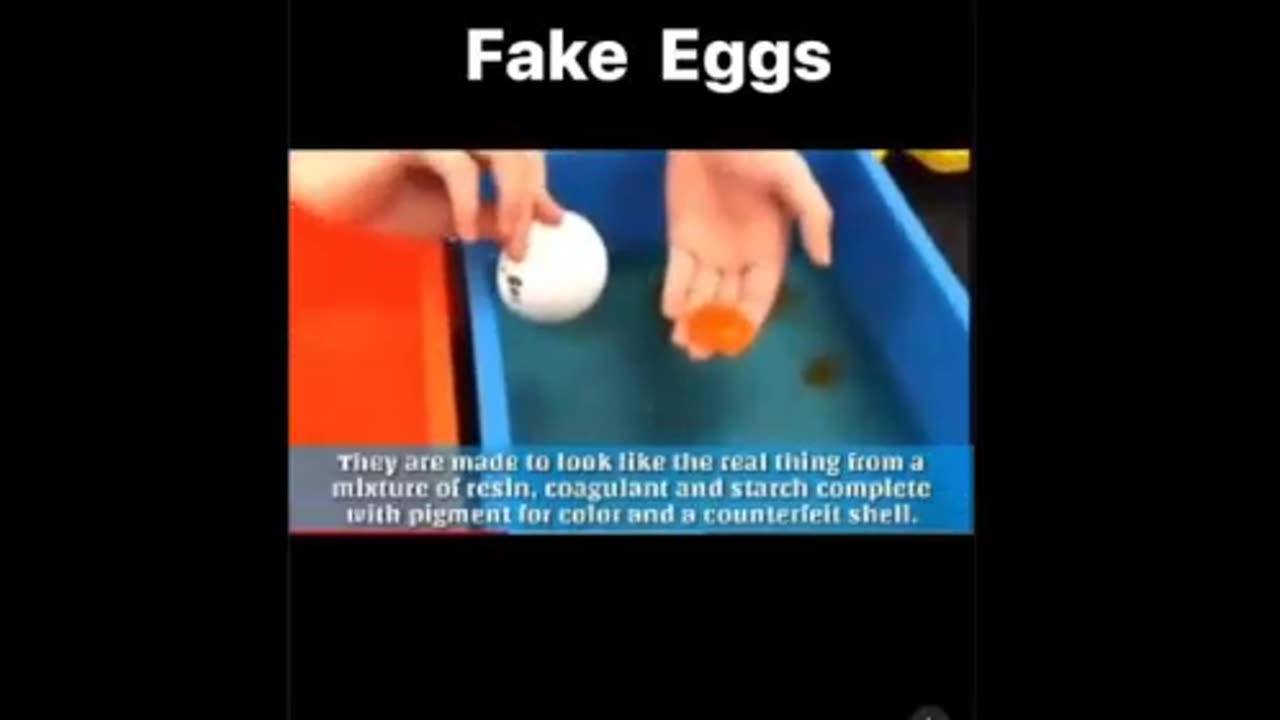 fake foods? fake eggs too?
