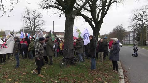 Live Stream am 16.11.2024 aus GÖRLITZ Berichterstattung gemäß Grundgesetz Art.5 Deutschland