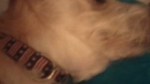Whatcha doing there buddy