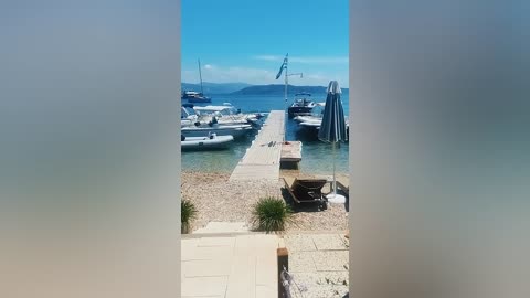 Best funny video