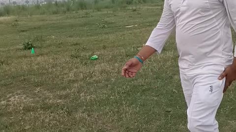 Cricket