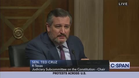 Dems Literally Storm Out of Room as Ted Cruz Exposes Antifa Rioters