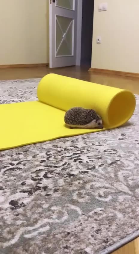 Yoga time 😍😍😂👍