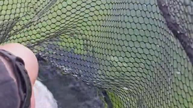 I've been a little MIA lately but excited to show you all something new soon from Angling Legacy