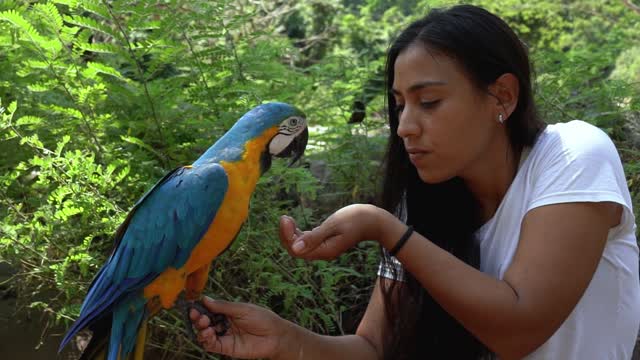 Romeo So Amazing Talking Parrot || A One Of The Unique New Member Of Talking Parrot Family