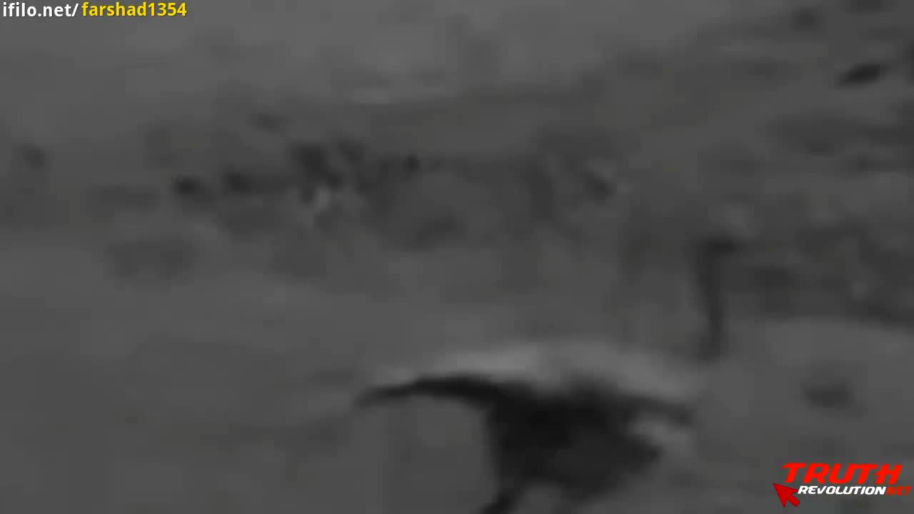 #The sight of a dragon