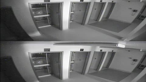 1704CRIB01CribAnalysisArea_2021-01-06_04h00min01s820ms.mp4