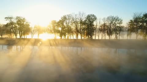 Enchanting Autumn Forests with Beautiful Piano Music