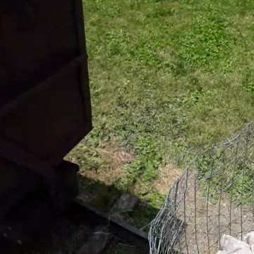 Wisdom is BETTER than gold or anything you can desire. Prov 16:16