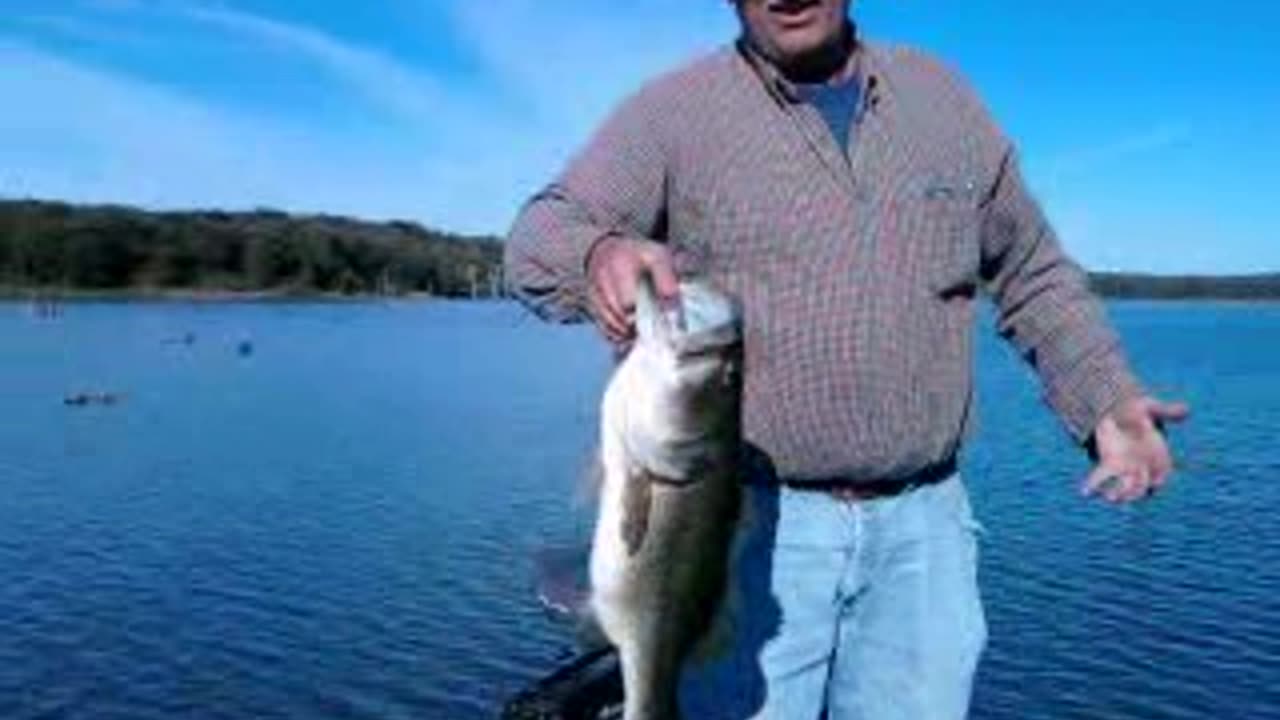 BIG OL"BASS